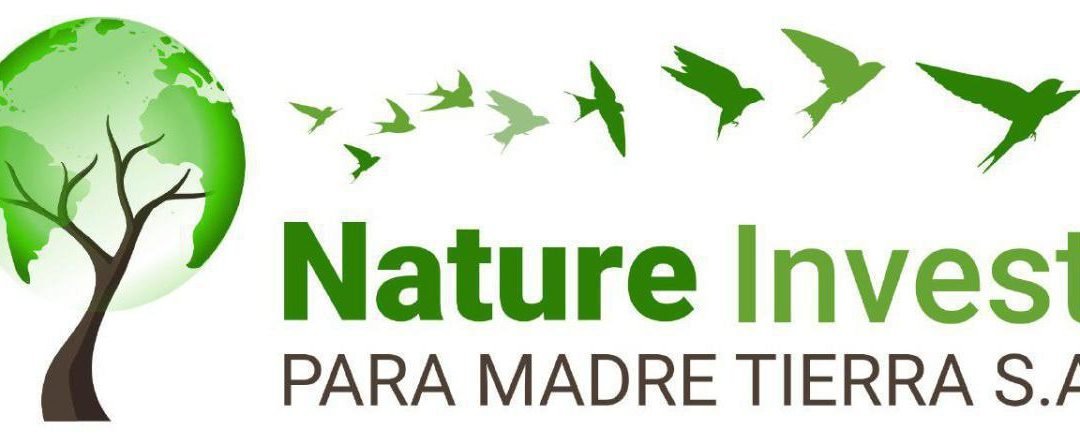 Jahres Vorschau 2022 mit Nature Invest – 01.01.2022