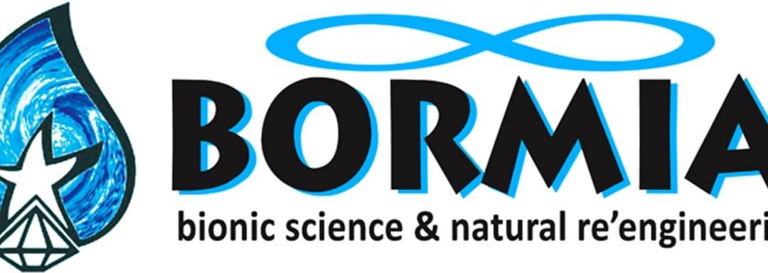 OKiTALK.news – BORMIA = BIONIK und damit „Hi’Tec aus der Natur“… für eine gesunde Zukunft! – 02.12.2022 –
