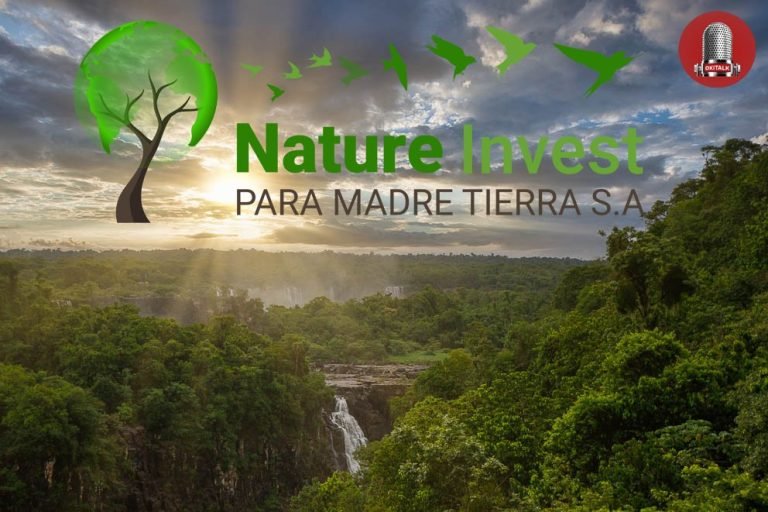 Benedikt Michale Nature Invest – im Gespräch mit Henning Botschafter der physisch lebendigen Erde – Ideen – Lösungen – Fragen – Antworten