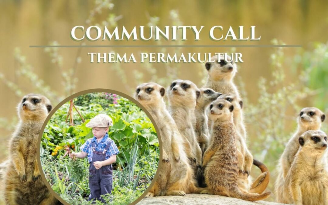 OKiTALK.news – Living Earth Community Call – Permakultur Teil 2 – 26.03.2024 – 19 Uhr live –