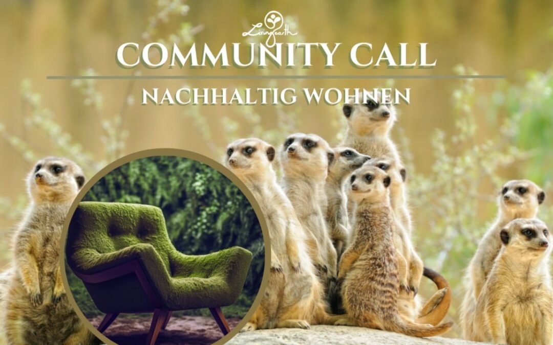 OKiTALK.news – Living Earth Community Call – 04.11.2024 – 19 Uhr live –