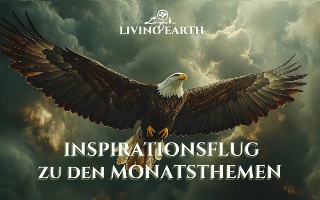 OKiTALK.news – Der LIVING EARTH Inspirationsflug – 02.12.2024 – 19 Uhr live –