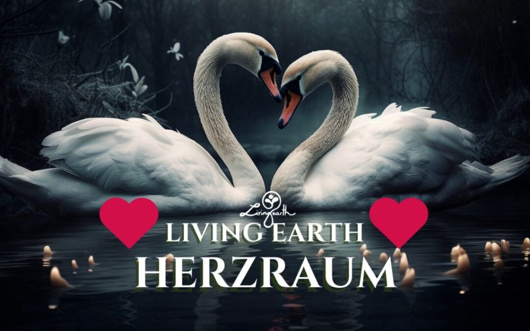 OKiTALK.news –LiVING EARTH HERZRAUM – 12.12.2024 – 19 Uhr live –