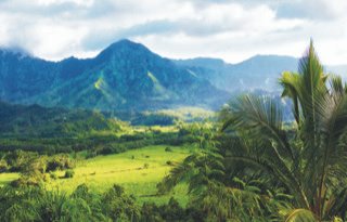 OKiTALK.news –   Petra Kahanuola – Spirit of Aloha  – Du bist Liebe! Hawai und was das mit Avalon und Maria Magdalena zu tun hat – 13.04.2024 – 20 Uhr live –