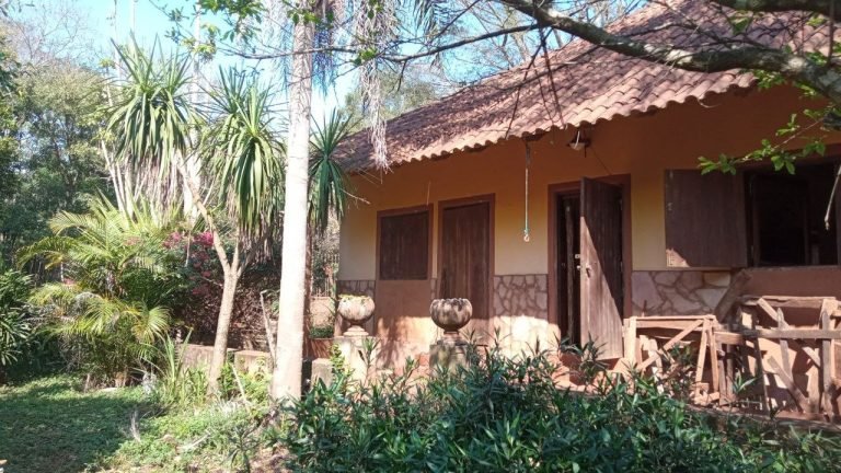 Andrea Pohl – Conservación de la selva virgen a través del turismo