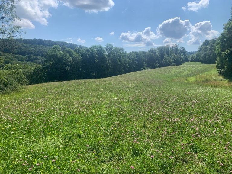 Anthony Anhalt – Nuevo Mundo