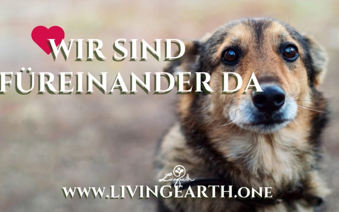 OKiTALK.news & Living Earth – Das neue WIR: Gemeinsam für Farah und die Animal Police! 18.10.2024 – 19 Uhr live –