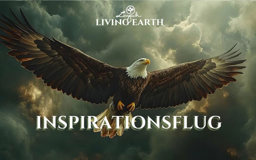 OKiTALK.news – Living Earth – Inspirationstalk – 06.01.2025 – 19 Uhr live –