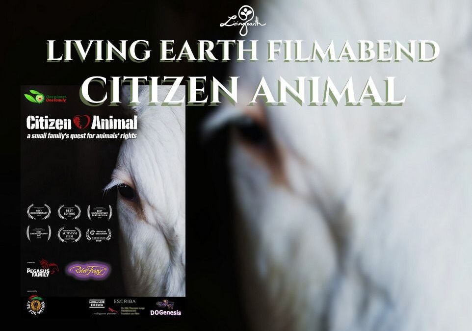 OKiTALK.news – Ein tierisch toller FILMABEND der LIVING EARTH und Oliver Löwenherz.CITIZEN ANIMAL – ein Film, der die Herzen berührt! – 22.12.2024 – 14 Uhr live