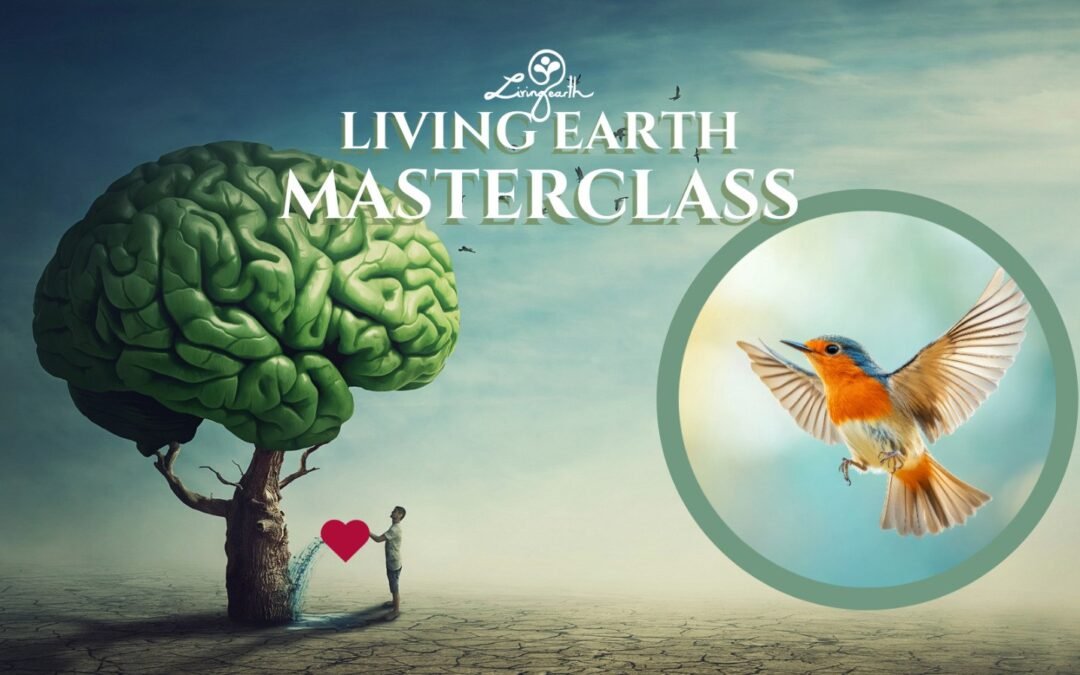 OKiTALK.news – Living Earth Masterclass – 16.02.2026 – 19 Uhr live –