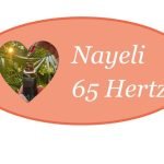 Innovative Lösungen für mehr Lebensqualität