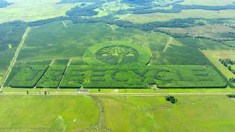 Aseguramiento sostenible de patrimonio en tiempos de crisis fuera de la UE