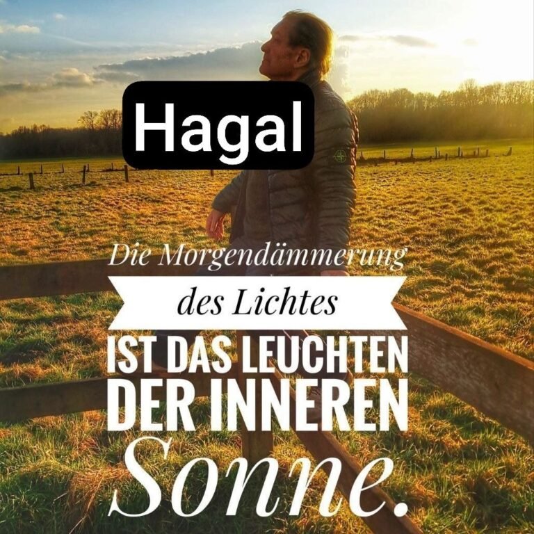 Edmund Hoffmann – Runen fürs Leben – Heute Rune Hagal